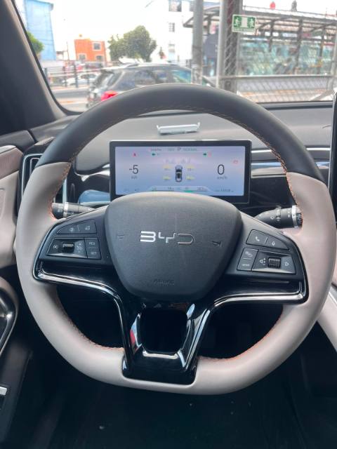 BYD Song Pro Pro DM-i (PRO) 2025, foto 18